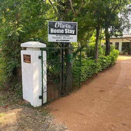 Olivia Homestay Anuradhapura Bagian luar foto