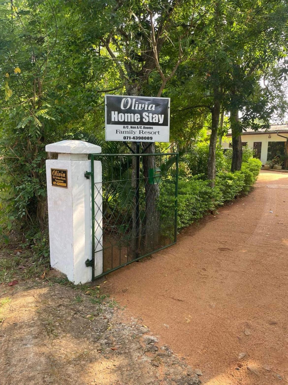 Olivia Homestay Anuradhapura Bagian luar foto