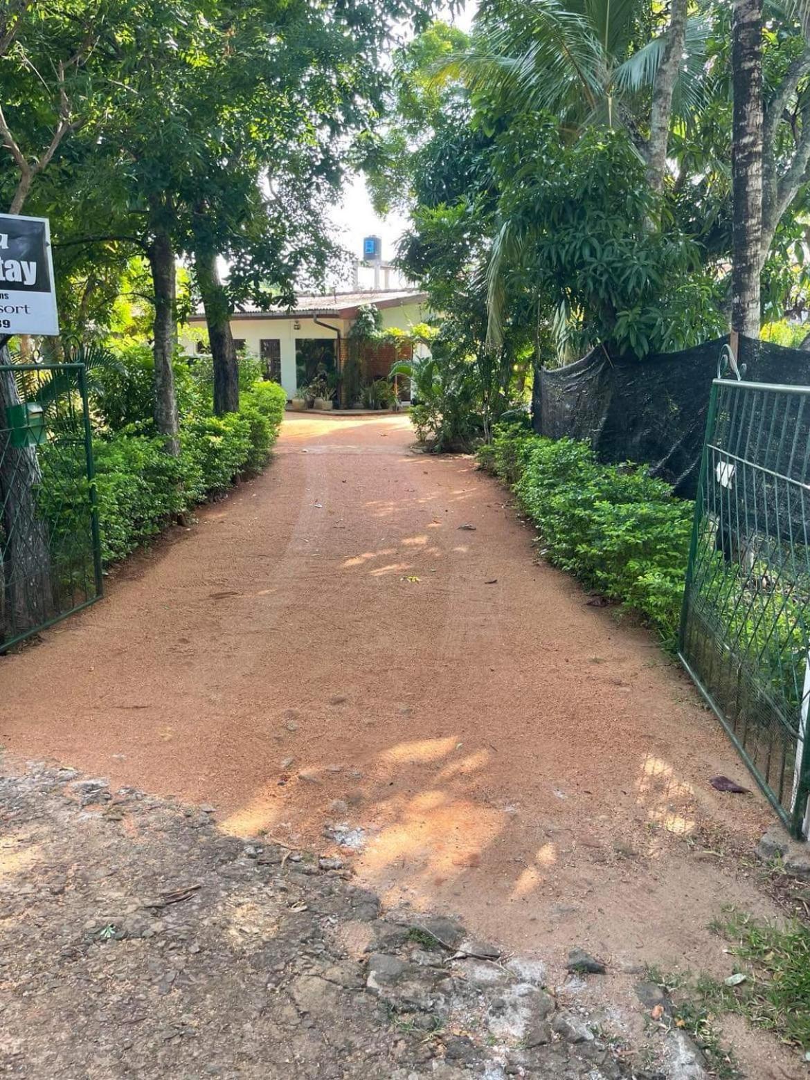Olivia Homestay Anuradhapura Bagian luar foto