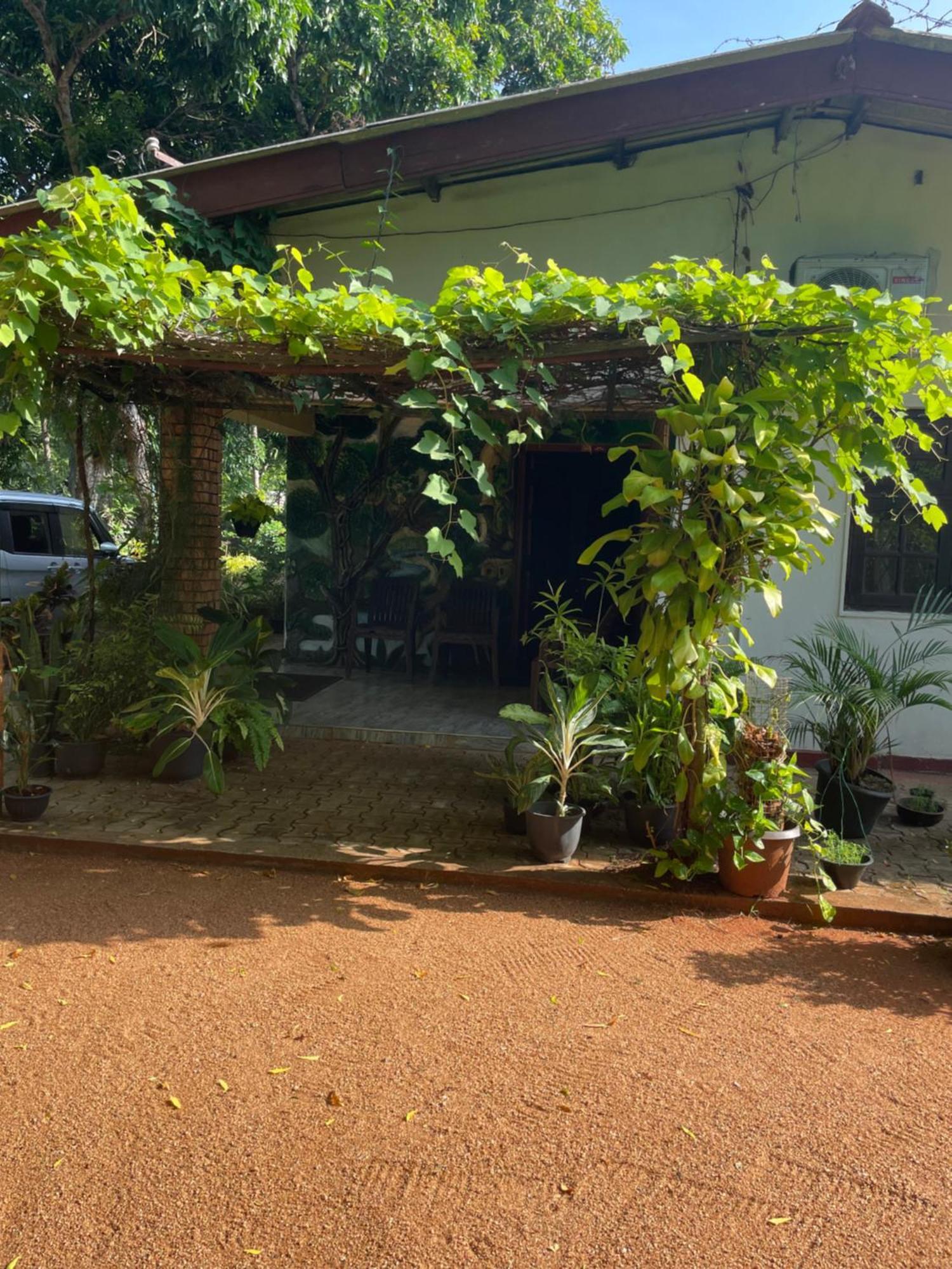 Olivia Homestay Anuradhapura Bagian luar foto