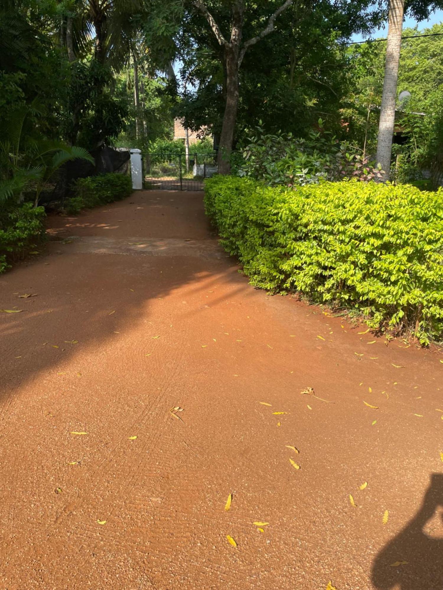 Olivia Homestay Anuradhapura Bagian luar foto
