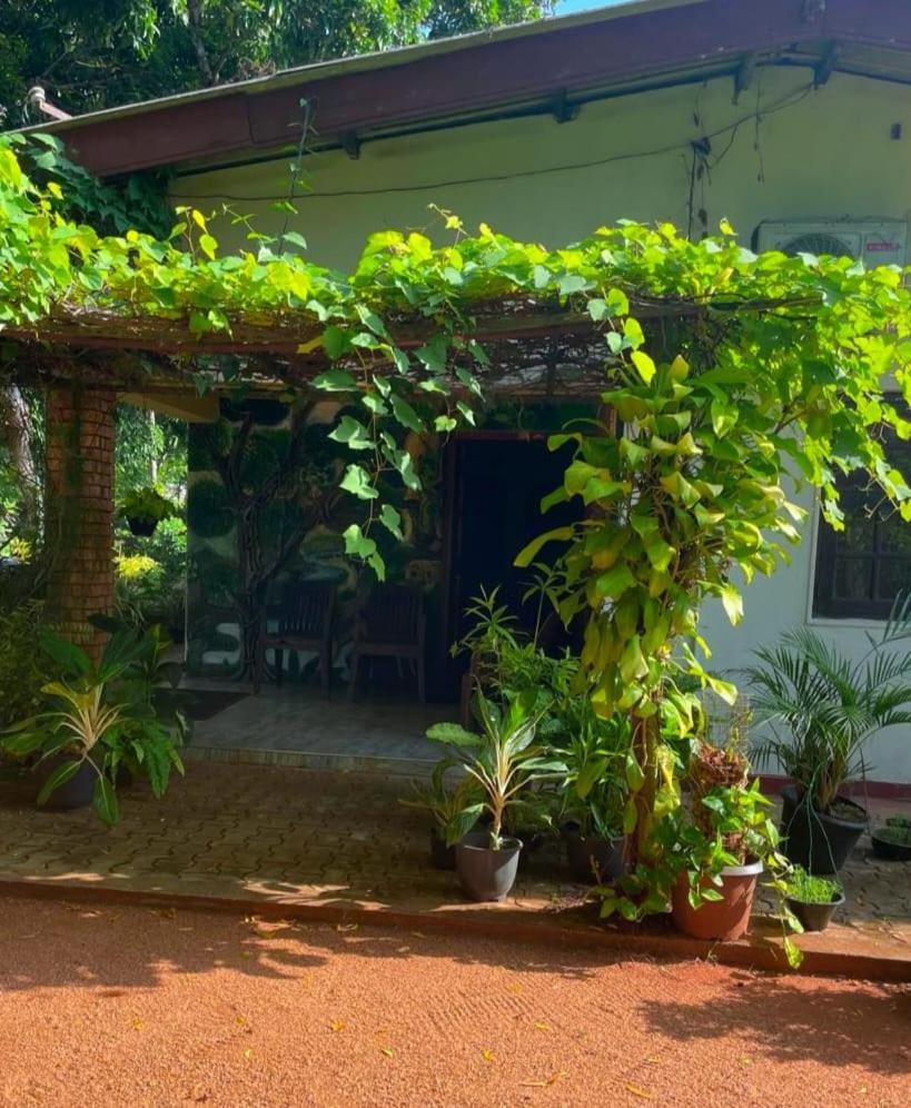 Olivia Homestay Anuradhapura Bagian luar foto