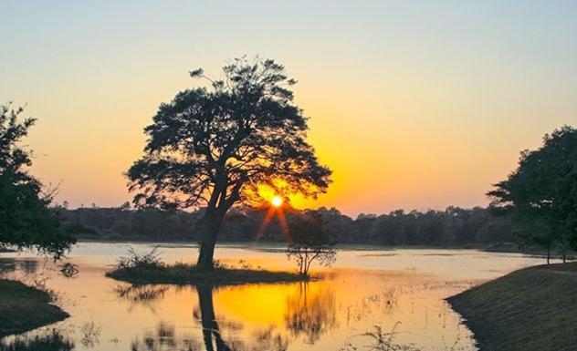 Olivia Homestay Anuradhapura Bagian luar foto