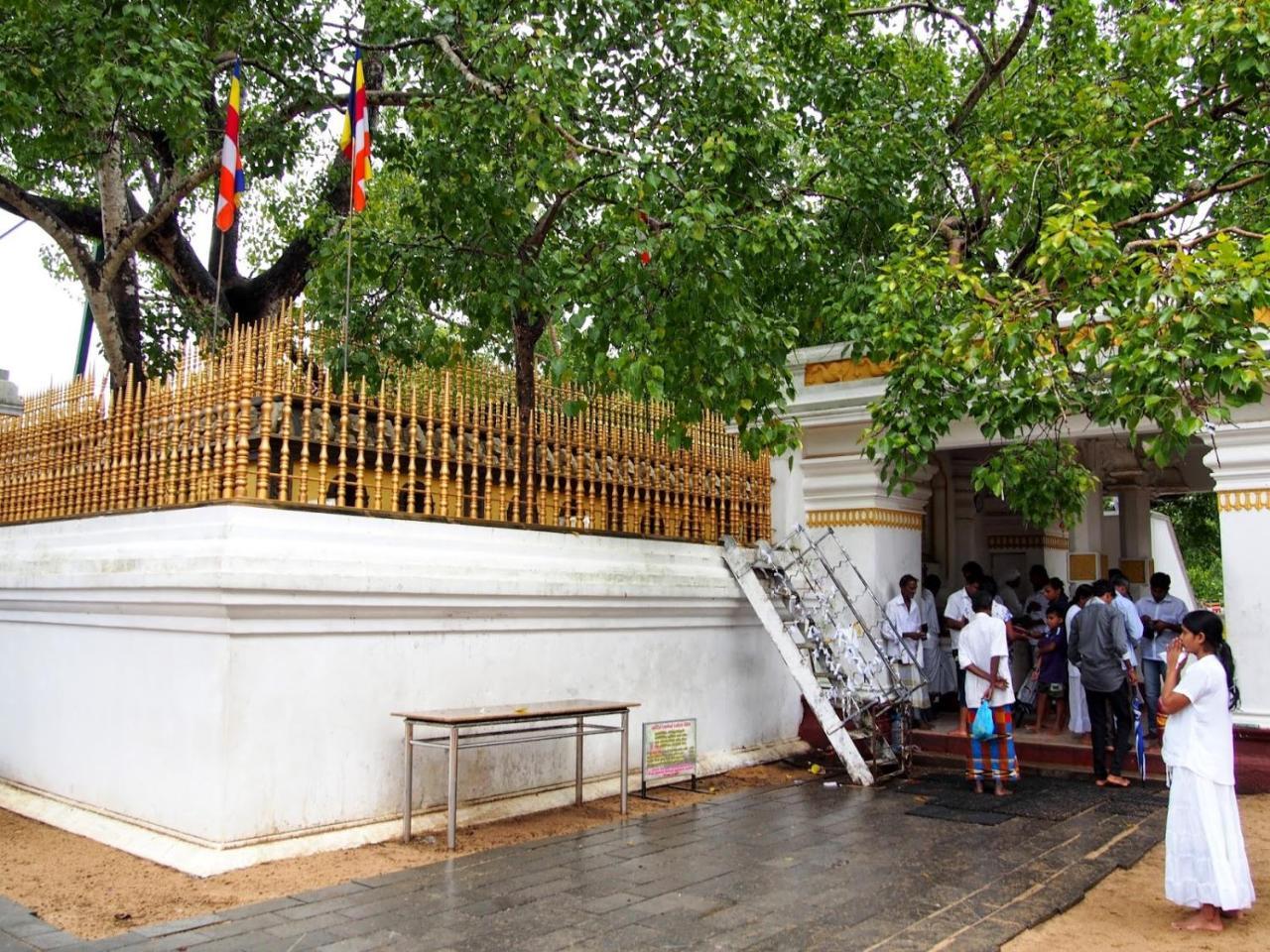 Olivia Homestay Anuradhapura Bagian luar foto